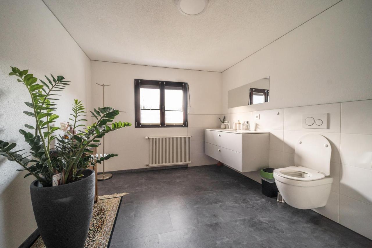 D'Alpenapartments ベツァウ エクステリア 写真