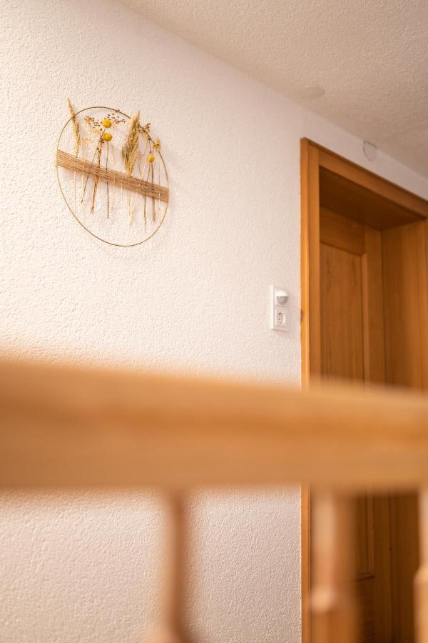 D'Alpenapartments ベツァウ エクステリア 写真